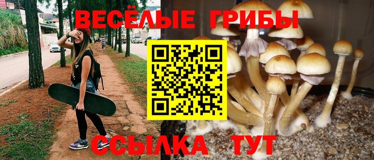 Галлюциногенные грибы мухоморы  Псилоцибиновые грибы MAGIC MUSHROOMS  Электросталь  Вход с VPN 